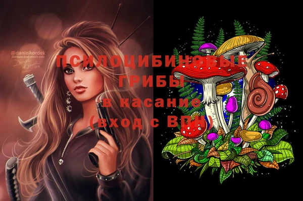 прущие крисы Алексеевка