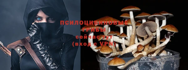 стафф Алзамай