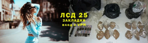 стафф Алзамай