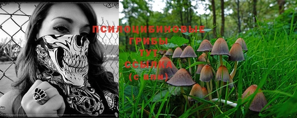 прущие крисы Алексеевка