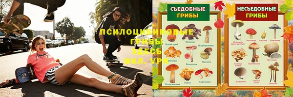 прущие крисы Алексеевка