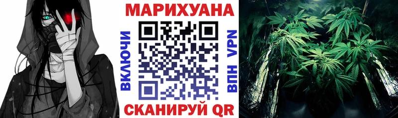 Бошки марихуана Amnesia  где купить наркоту  Железногорск-Илимский 